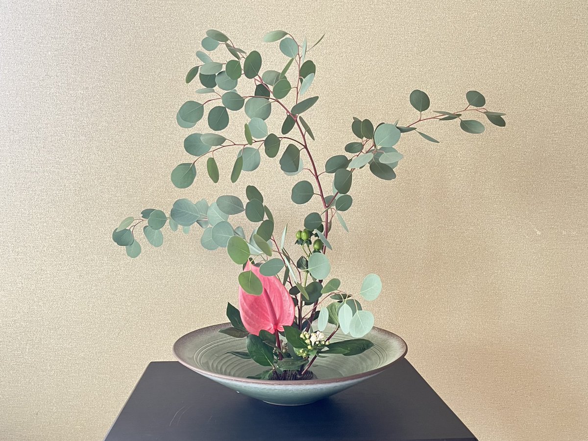 きよたん (@kiyotan_0317) / Posts / X