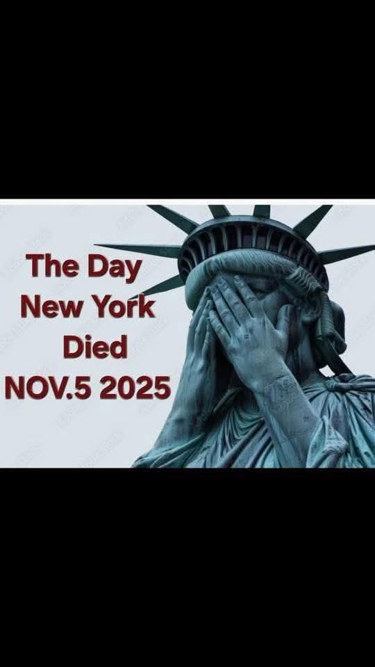 zerozerozecche's tweet image. 