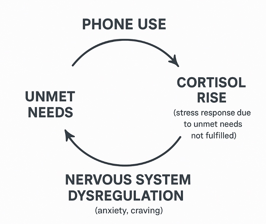 joelhelioz's tweet image. Phone addiction is cortisol, not a dopamine problem.

doomscrolling meets your unmet needs of novelty, connection, and excitement—temporarily calming your nervous system.

but because your phone doesn’t nourish you long term, cortisol increases. your bodies survival feels…