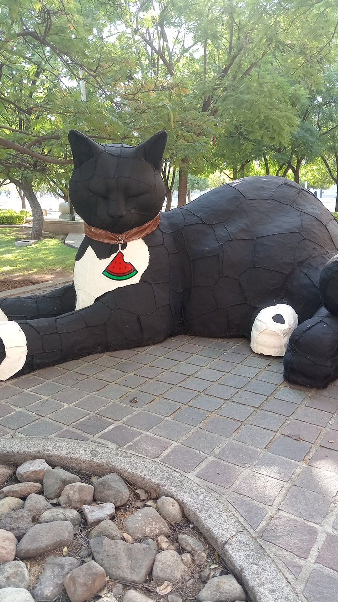 CristiphMunez's tweet photo. Me pareció ver un lindo gatote jeje...
#gato #Fotos #bonito #feliz #gente #michi #arte https://t.co/jRioNi3Tx2