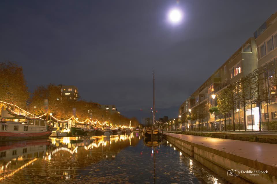 Freddie de Roeck tweet media