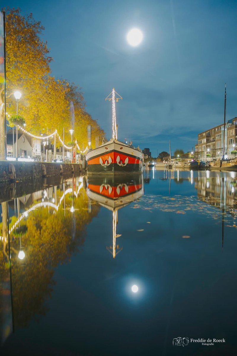 Freddie de Roeck tweet media