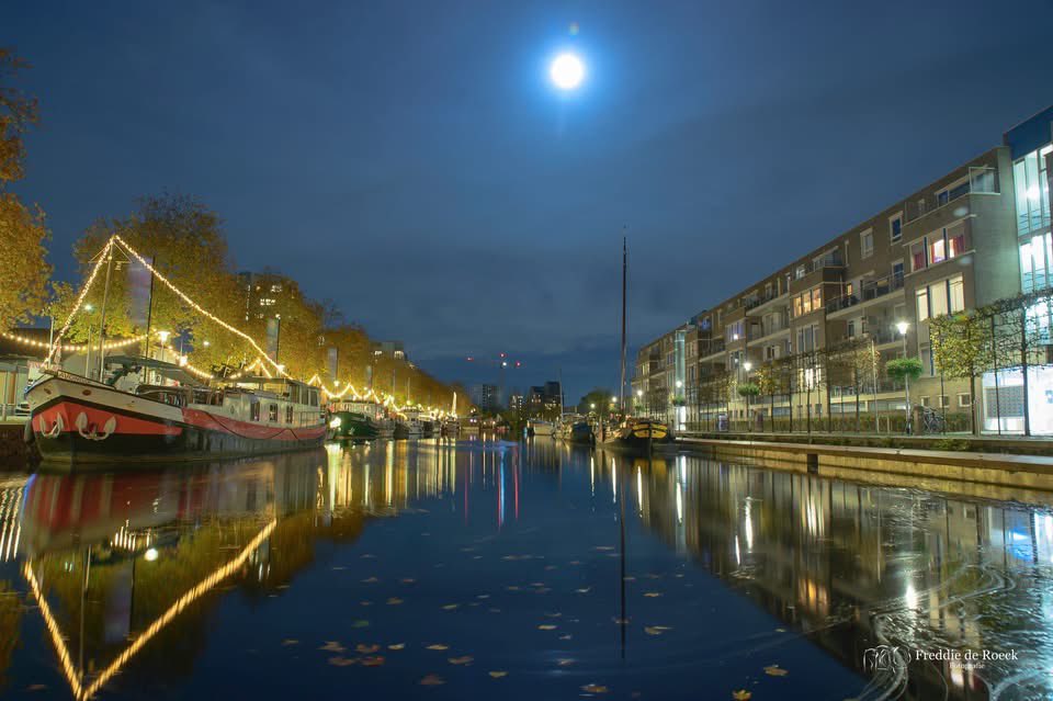 Freddie de Roeck tweet media