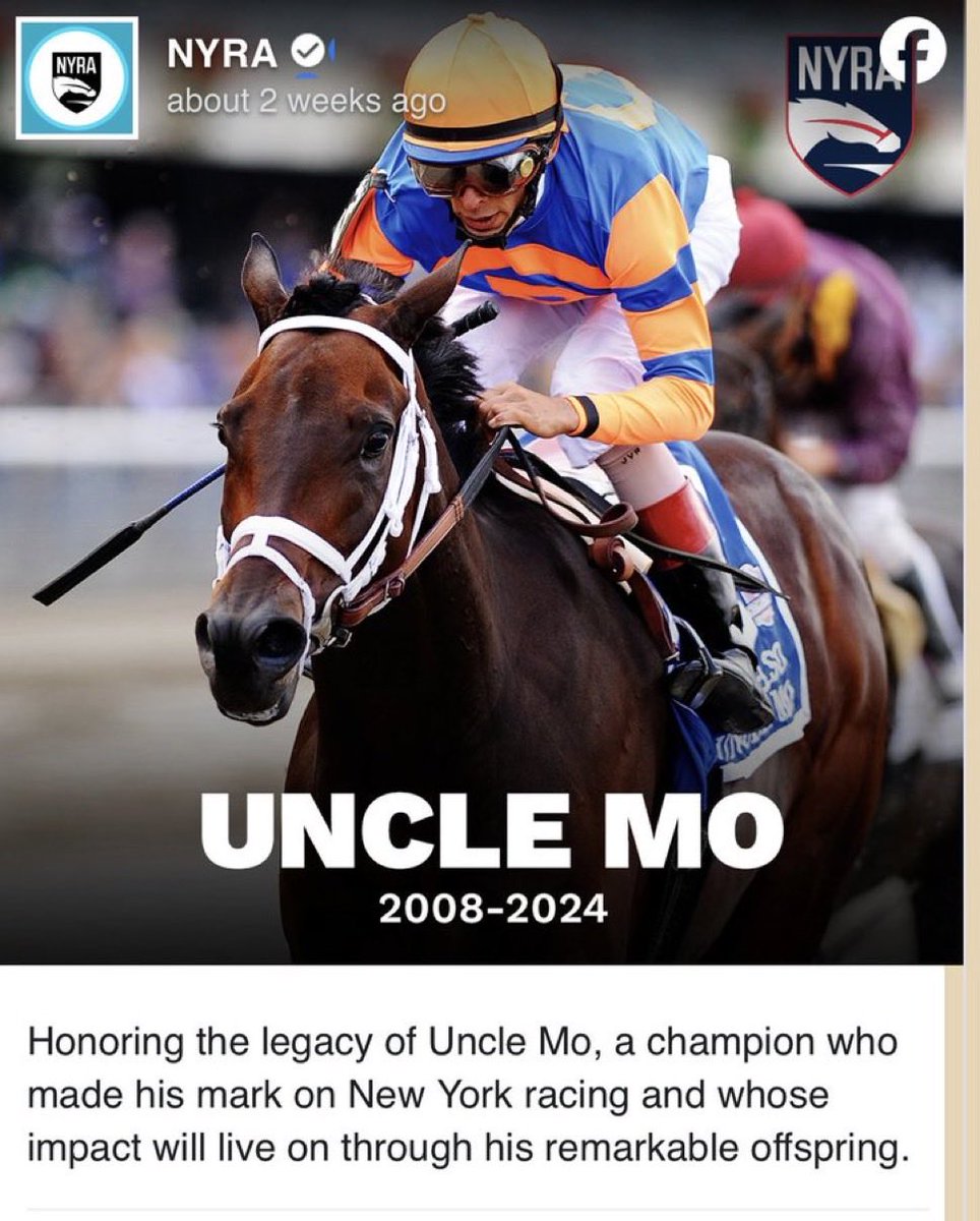 tequilaqueen07's tweet photo. #STRICTLYBUSINESS  the 3F daughter of #GRUNT salutes in G1 Victorian OAKS(2500m) ..Her dam #TIVOLILASS is another daughter of the US stallion #UNCLEMO(dec)... his influence is already starting to show @HayfieldsRacing  @coolmorestud @YulongInvest https://t.co/9LV4lElZOv