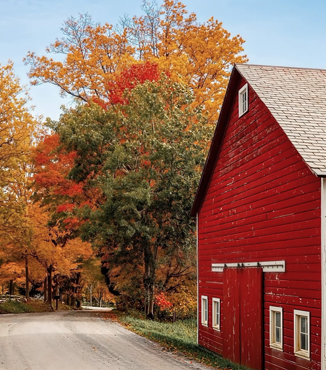 Yvonne Drigo tweet media