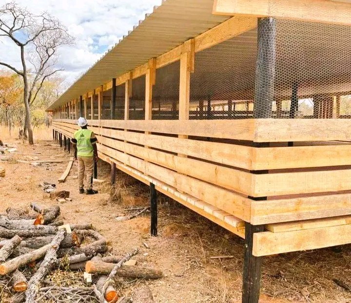 Modern goat farming structure. This can be your next biggest project.

Like and repost if you're interested in modern Goat farming.

#GoatFarming