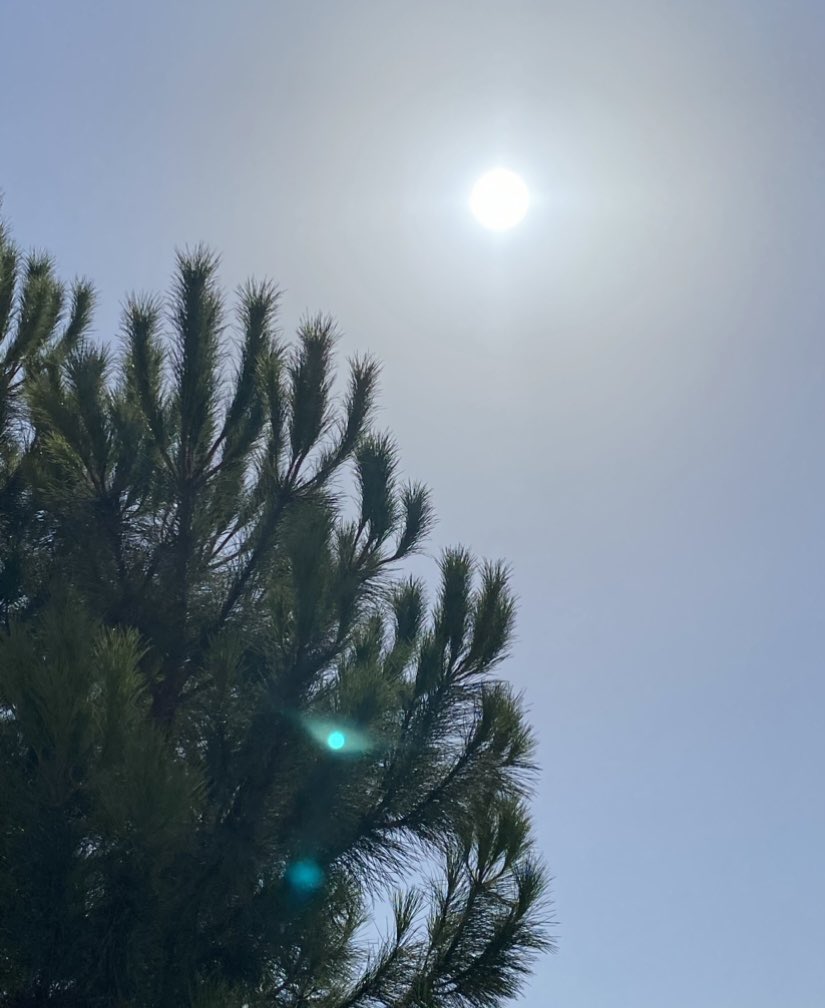 Çünkü güneş bulutlara aldırmaz..
Hep doğar../ ✍️
#günaydınhayat 🍀