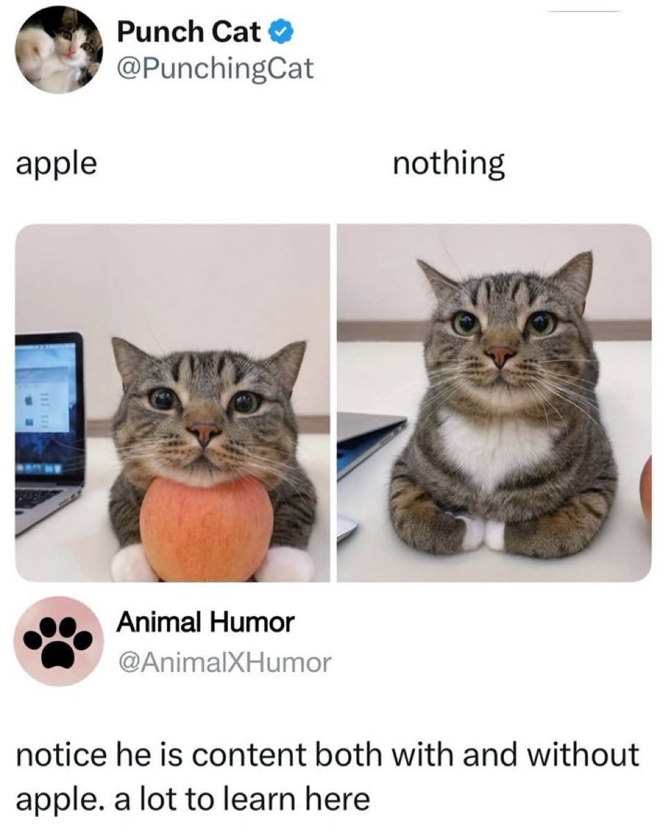 캔빵 (@gte1799) on Twitter photo 