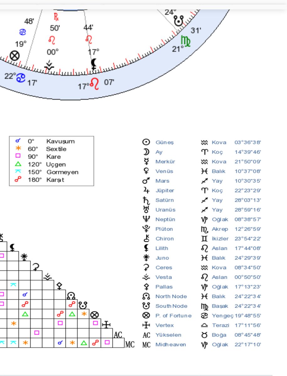 Mrvs 🇹🇷 tweet media
