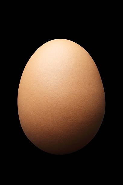 Det er JEG
som
ER
Doktor Egg
- Eggehvite
- Livets plomme
= ERIGERT penis

K N U L L E og P U L E
konstant.

.. Han som
360 quickscopa deg
i PIKKEN,
17 GANGER på rad
1 V 1 
RUST  

I en verden 
hvor
..skjerm og GIPSVEGG
er det første
du ser når du våkner,
mens våre FORFEDRE
våkna