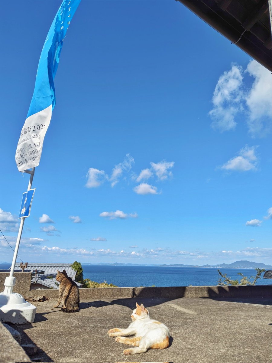 うどん県八十八（はちはち） on X