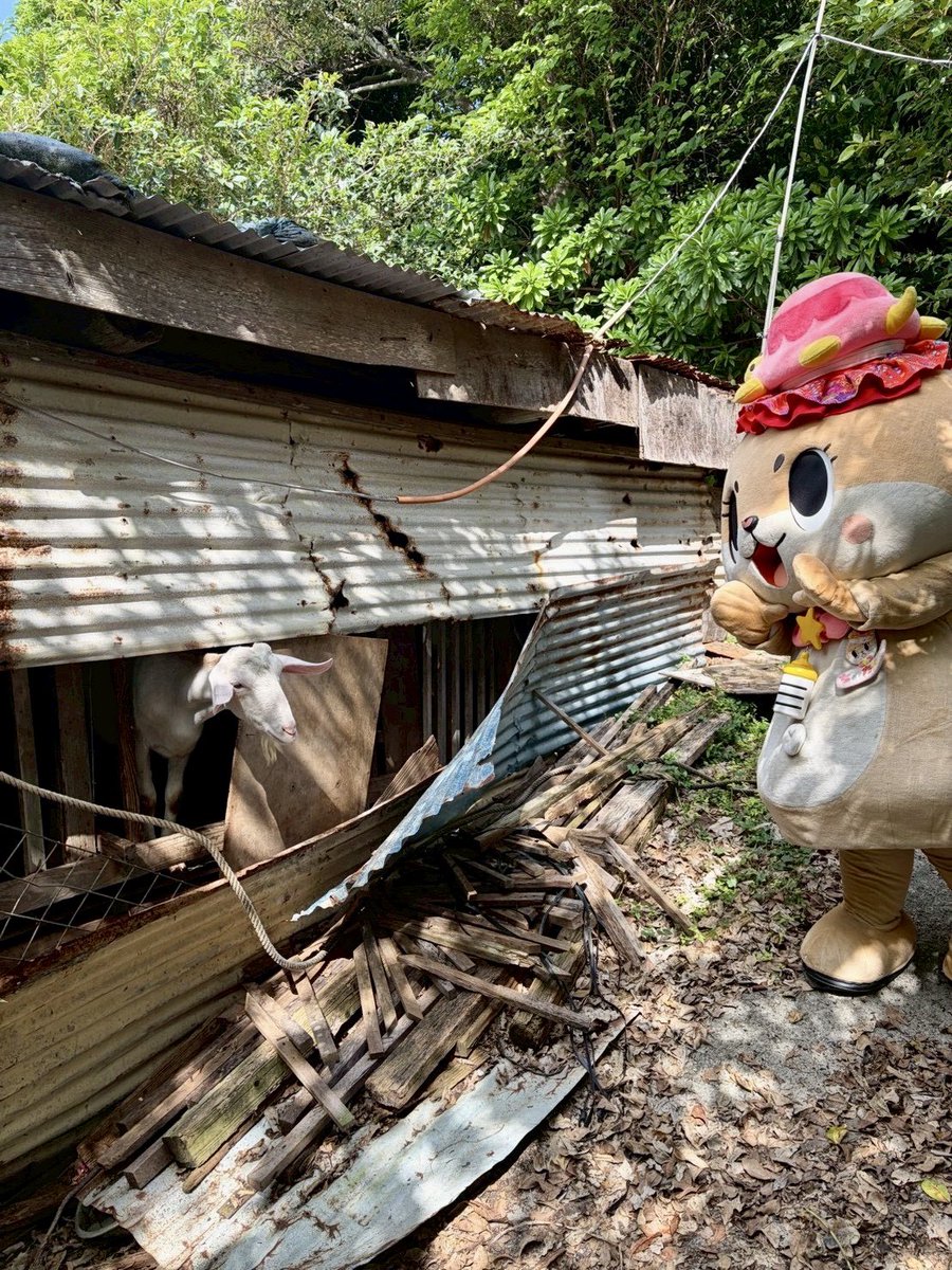 ともちゃんぺージ ビーレジェンドペコちゃん サイドチェストクラブ HOODIE | ビー