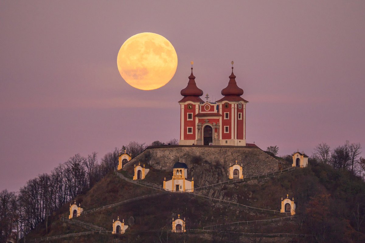 This Is Slovakia tweet media