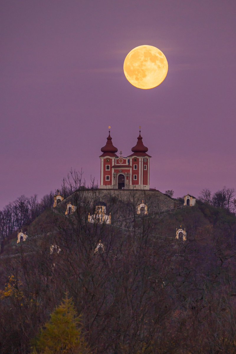 This Is Slovakia tweet media