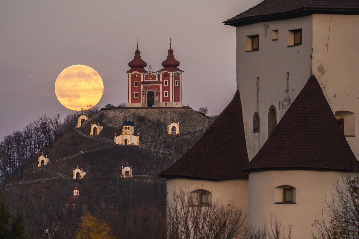 This Is Slovakia tweet media