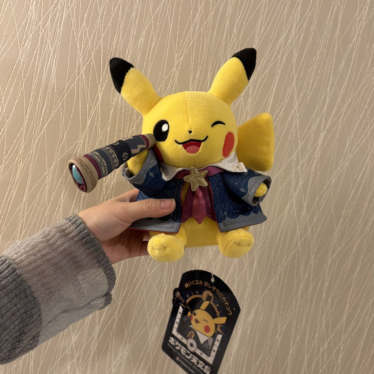 ポケモンセンター新商品「十ポケ十色」発売、メタモン人気でオンライン