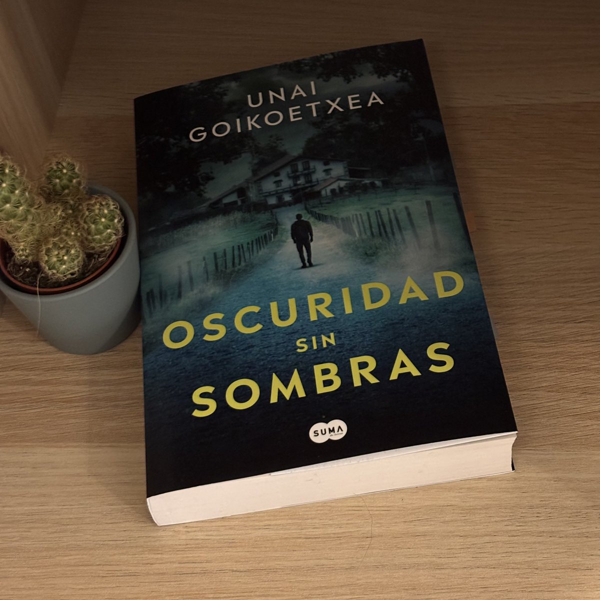 El libro me ha encantado. Me había gustado mucho el anterior y este ha estado a la altura. Estoy deseando leer más libros del autor. 

Totalmente recomendado. 

#MisLecturas2025