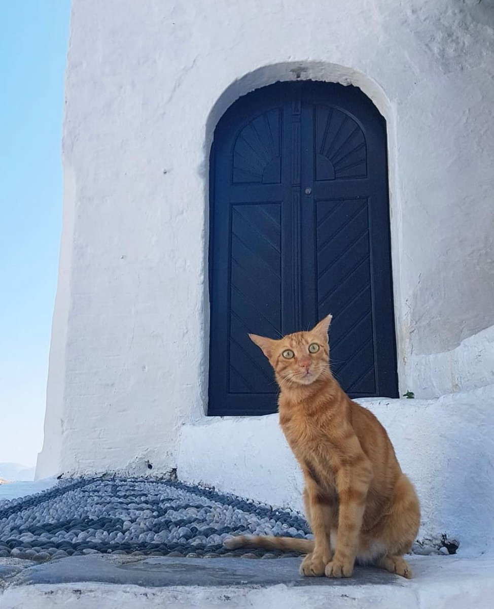 pantelischio's tweet image. #Doorsandwindows