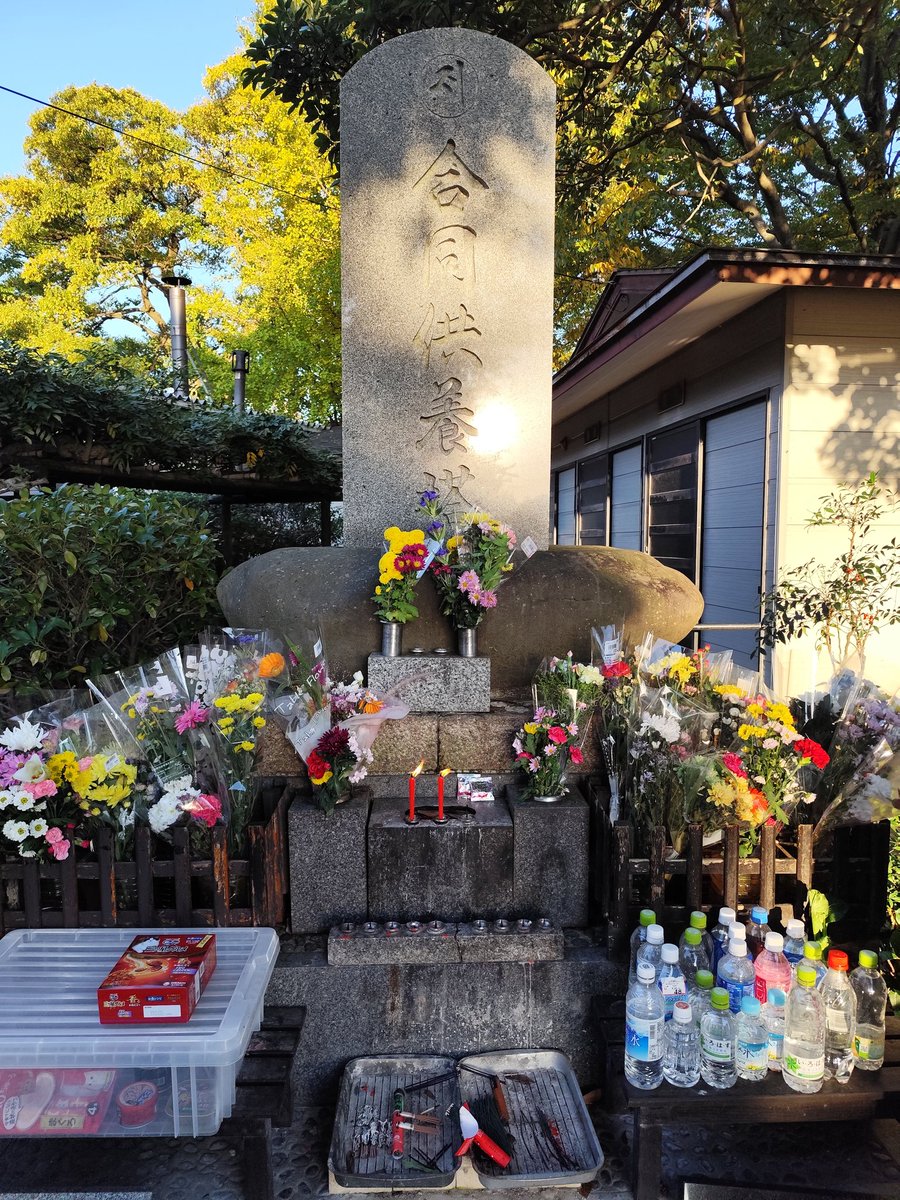 雨の日のねこ様♡ありがとうございます♡ 西の紳士 on X