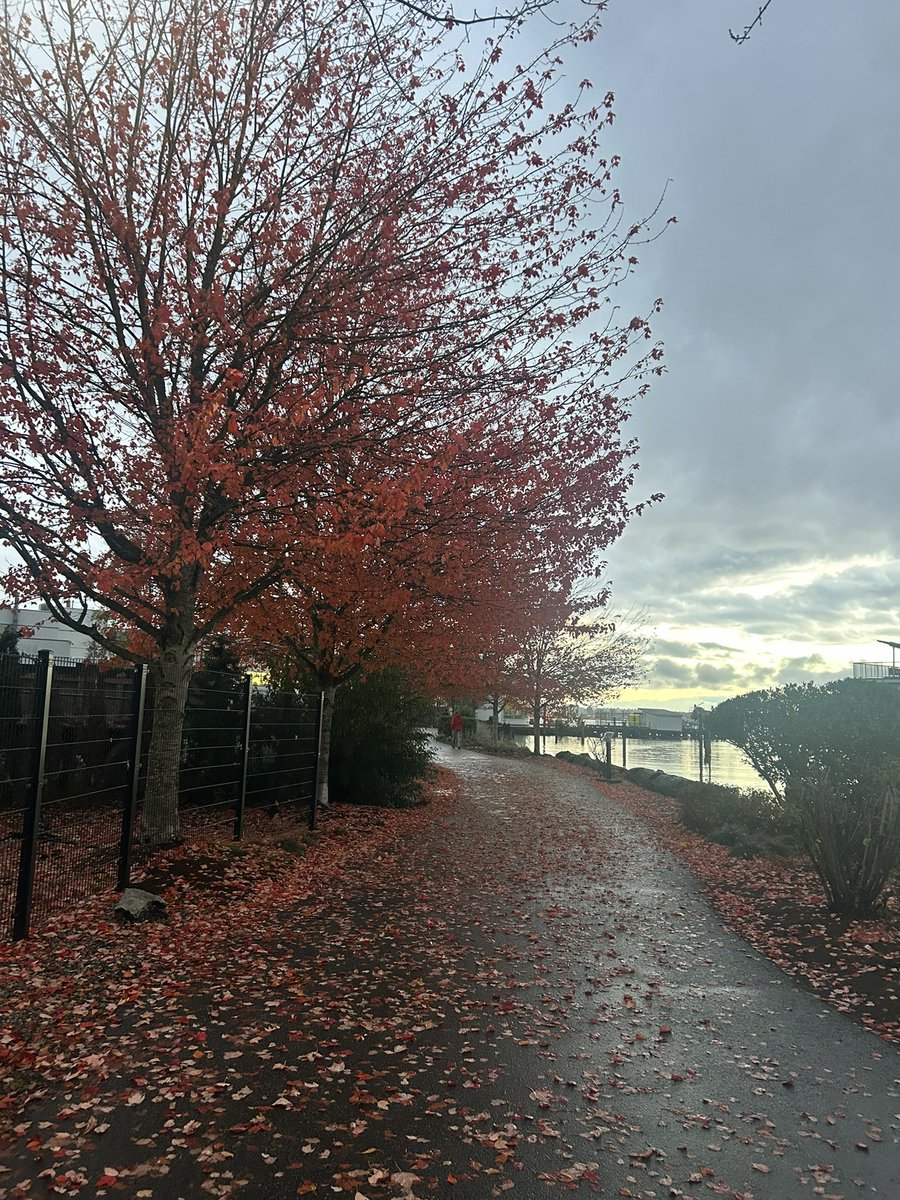Still trying to rid of the extra weight I put on last Christmas 🎄 😂 Walking the #spirittrail <a href="/CityOfNorthVan/">City of North Vancouver</a> Although it cloudy, I got lucky. There was a wee bit of a sunset. #NorthVancouver #GoodEvening