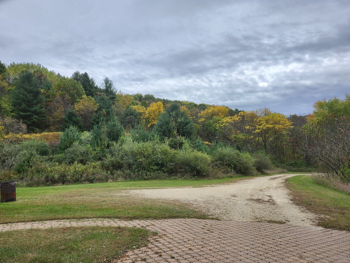 aresonian's tweet image. Fall colors
Autumn arrives in beautiful colors

#NaturePhotography
#autumncolors
#fallphotography