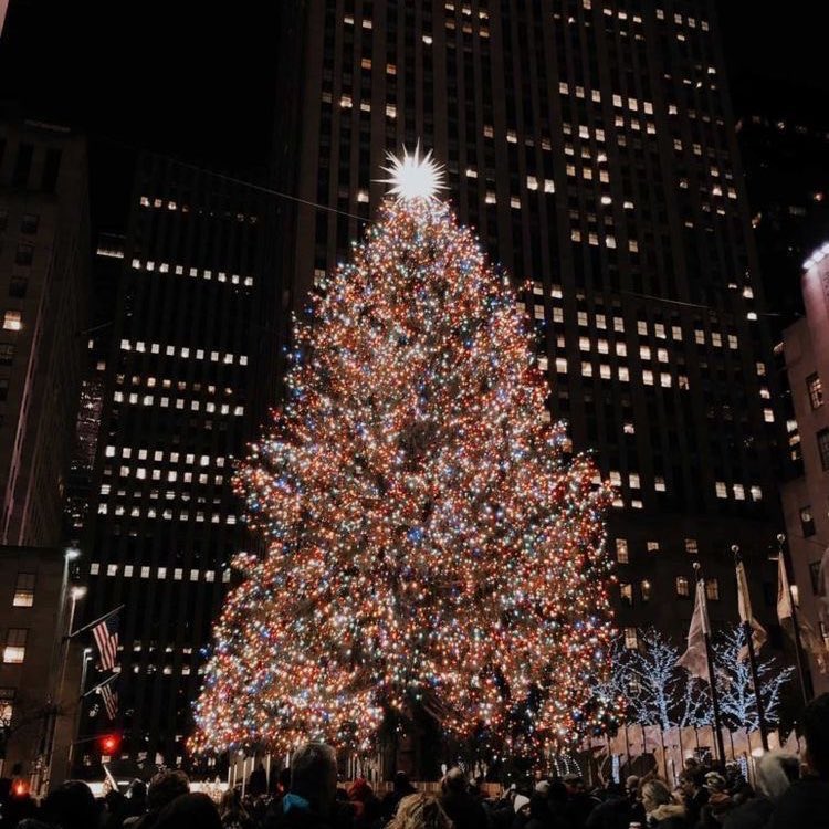 “ 49 days left until christmas 🎄🎅🏻 ”