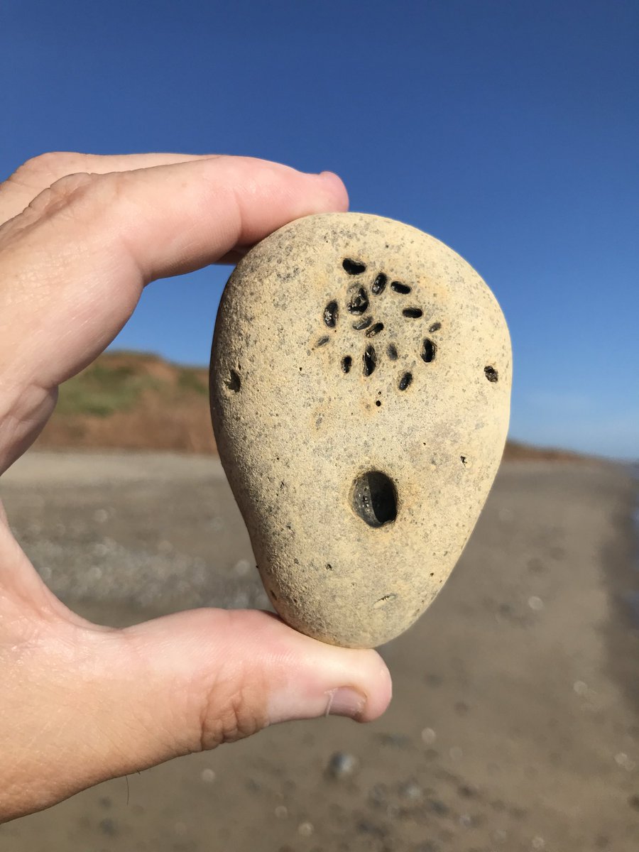 Beach Finds
#Withernsea