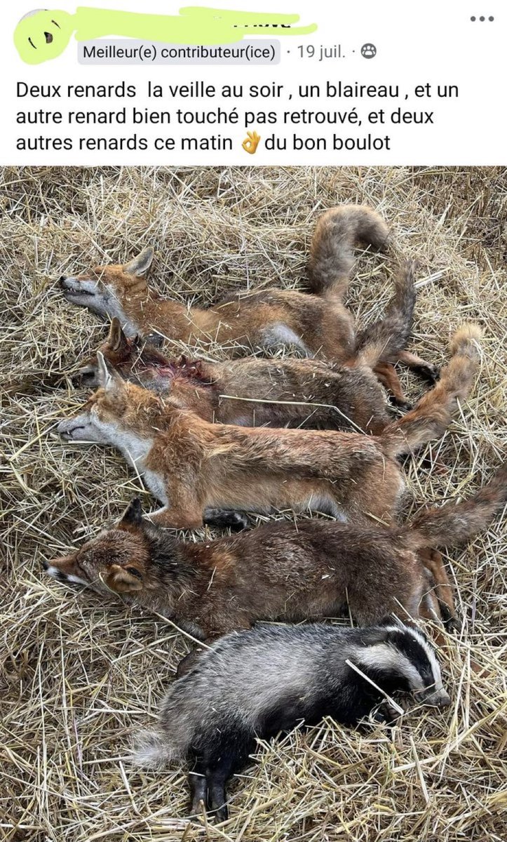 De Faunabescherming tweet media