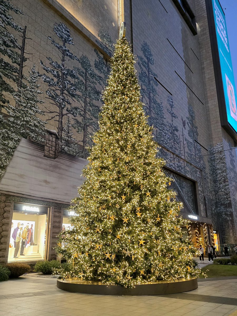 letstalkaboutKR's tweet photo. เทศกาลคริสต์มาสที่ห้าง Hyundai Trade Center ก็เปิดแล้วนะ น้องหมีน่ารักมากก🎄🧸 แอดชอบที่พวกน้องสัตว์ต่างๆขยับได้
น้องกวาง กระต่าย นกฮูกงี้ เหมือนของจริงเว่อ มาที่นี่คนไม่แน่นไม่ต้องต่อคิวค่า ~ 

> ห้าง Hyundai Trade Center อยู่ติดกับ Coex ใครมาไหว้พระวัดพงอึนซา มาห้องสมุด Starfield แวะมาที่นี่ก่อนได้เลย
> ธีมคริสต์มาสจะมีที่ชั้น 3 / 6 และ 7 ค่ะ
> ปีนี้ด้านนอกห้างมีต้นคริสต์มาสใหม่ แล้วตอนนี้มีใบไม้เปลี่ยนสีด้วย แล้วเค้าติดไฟตกแต่ง ตอนกลางคืนสวยมากๆๆ
> > ชั้น 6 ของห้าง จะมีโซน Young Fashion มีแบรนด์ฮิตๆเพียบอย่าง matin kim / satur / marithé 
> ข้างๆจะมีตึก รร.อินเตอร์คอน น้องติดโบว์แดงคริสต์มาสแล้ว สวยเว่อ

Hyundai Trade Center
📍รถไฟใต้ดินสถานี Samseong ทางออก 5 ขึ้นมาจากทางออก เดินตรงไปเรื่อยๆจะเจอห้างเลย

#รีวิวเกาหลี #Korea 
#VisitKorea #Autumn2025