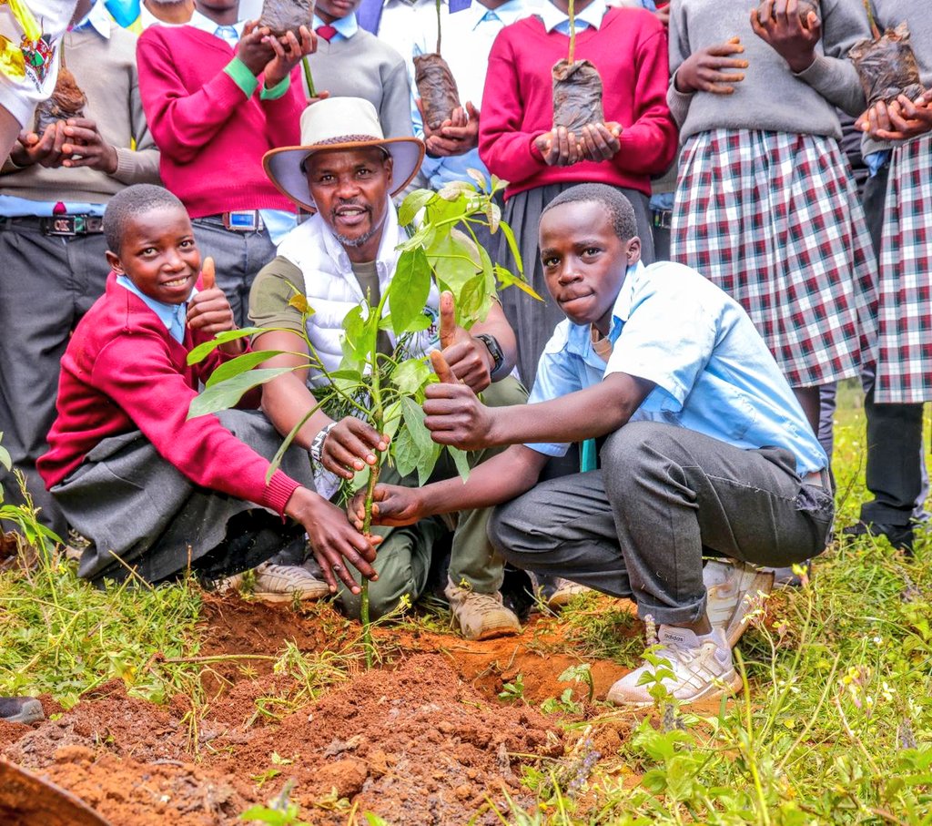 Tree growing in the Mau Forest ecosystem is essential for water security, climate regulation, biodiversity conservation, soil protection, sustainable livelihoods, and national development. Growing one tree at a time for People, Planet and Profit #MFC_ICLIP #LindaMauBoreshaMaisha