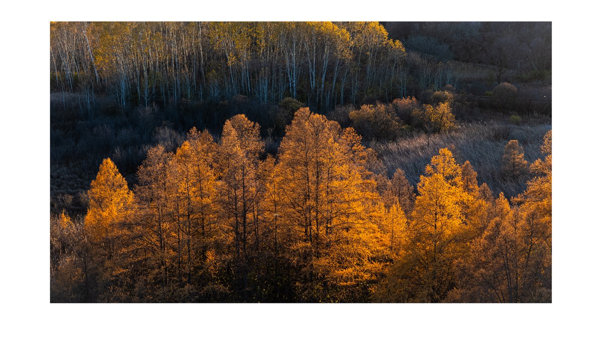 DHerm76's tweet photo. Wisconsin Fall color TSLA https://t.co/LOze2KZkQw