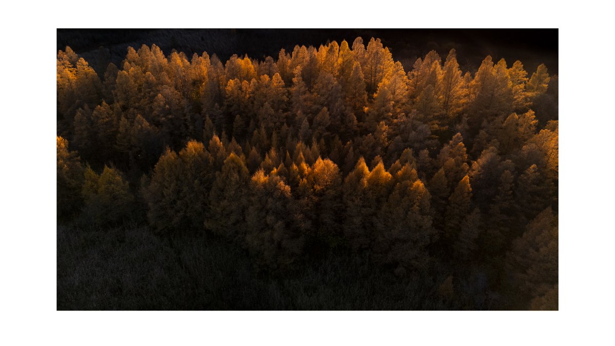 DHerm76's tweet photo. Wisconsin Fall color TSLA https://t.co/LOze2KZkQw