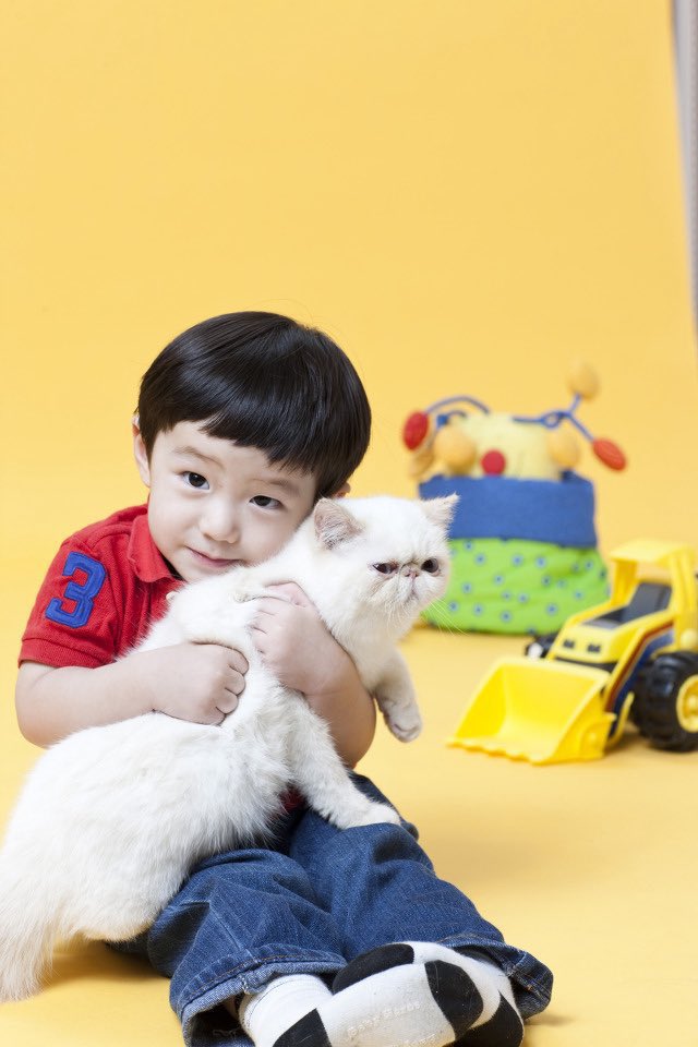 고양이 꼬옥 안고있음…˖ ⊹ #정상현