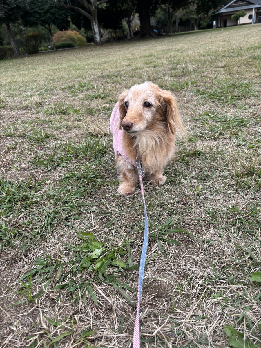 ゆきんこ🌸 on X