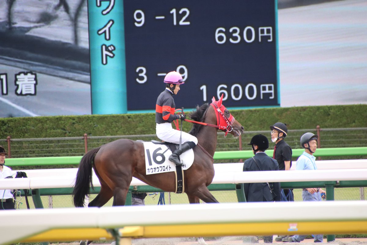 Ogoma🇩🇪フラッシュ専属🐞 on X