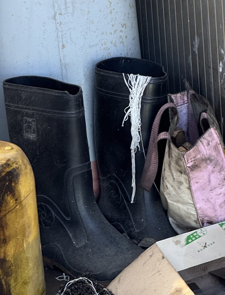 kc lee (@kclee0547216816) on Twitter photo 