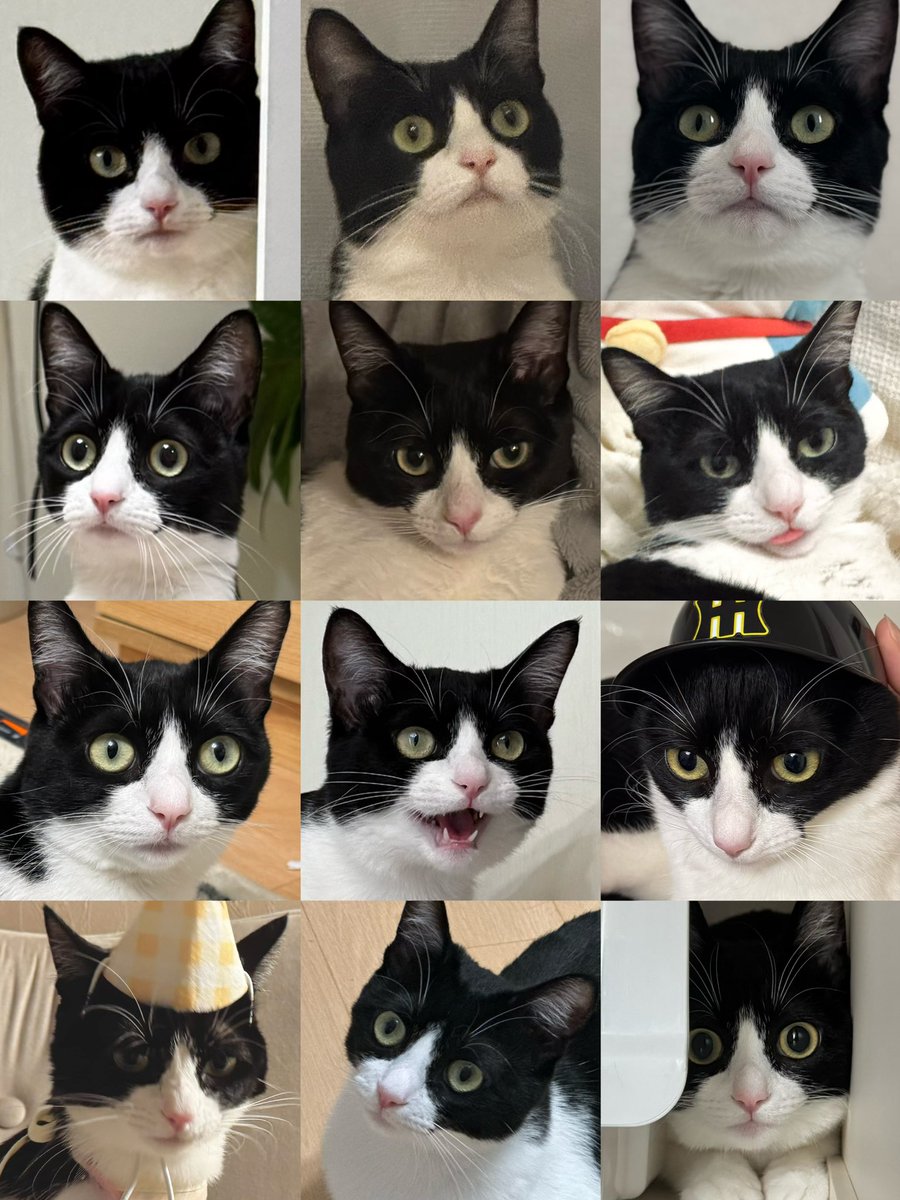 chujyo🌟11/16 Mode:Stylish4 東7C41ab (@_chujyo_) / Posts / X