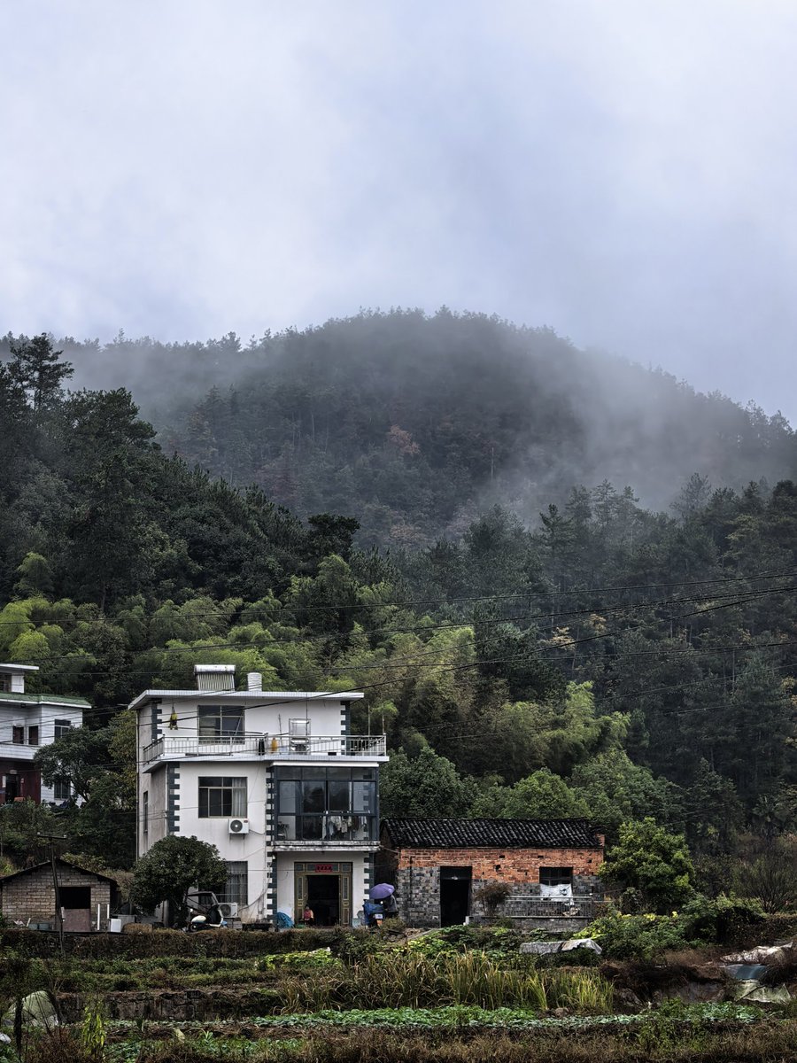 Village of cloud ☁

#AutumnVibes #mountain #NaturePhotography
