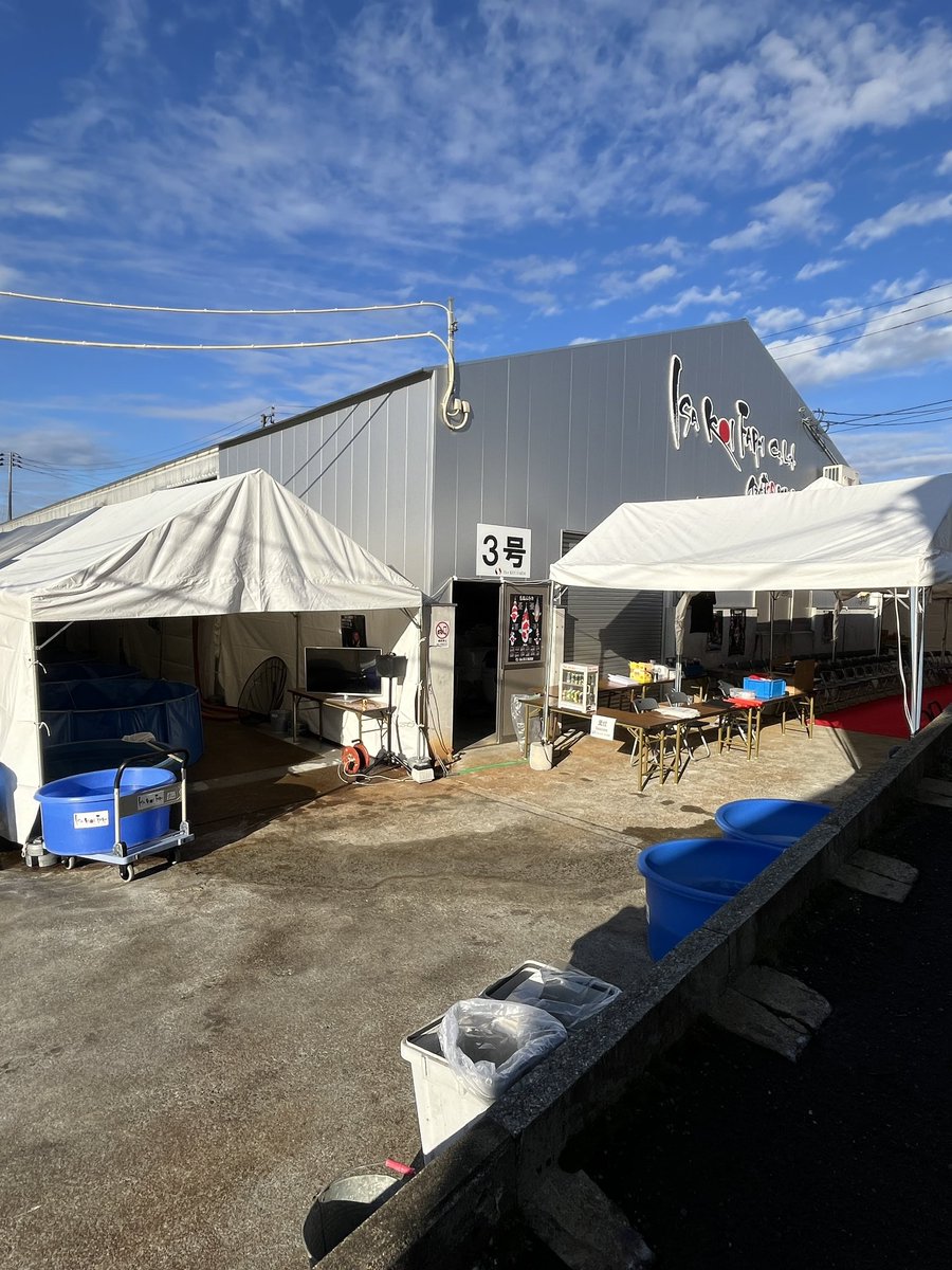 はじめてのお使いならぬ
はじめての錦鯉オークションお手伝い。
粗相大連発！

会長をクソポジに駐車誘導し、それは会長だと怒られ、

番頭さんのお手伝い的なことを頼まれたのに何もできず、立ってるだけやないかとつっこまれ🫢