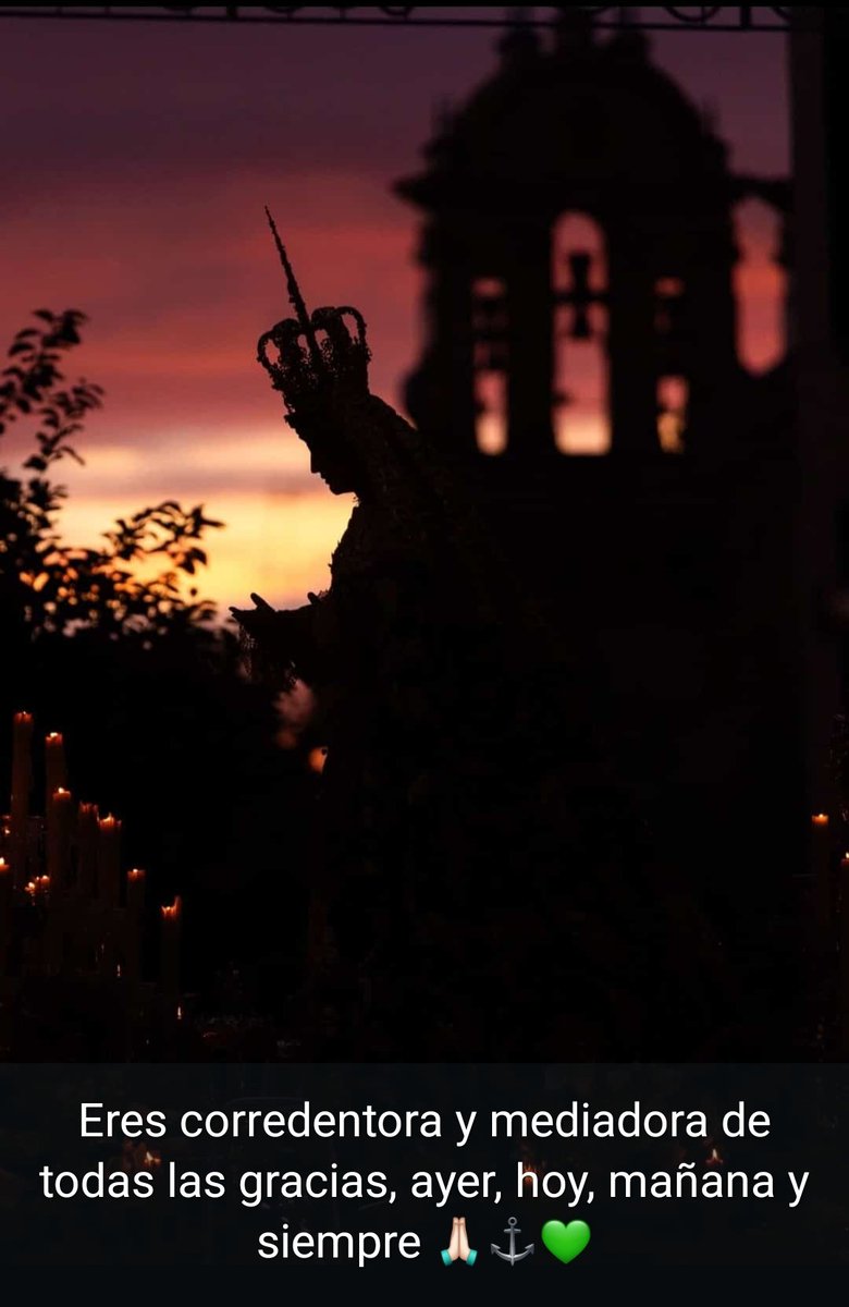 Eloisa Pérez Payá tweet media