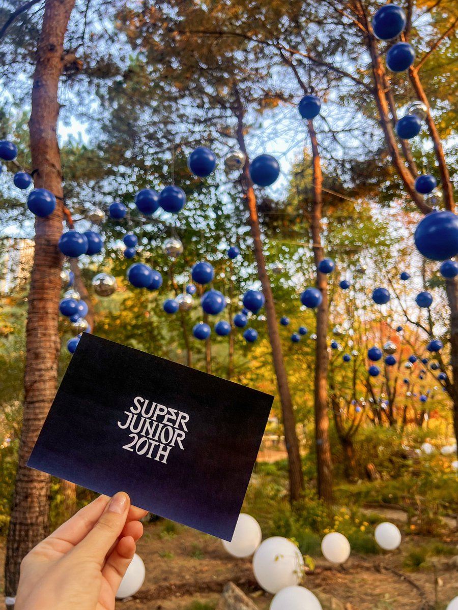 kittycathae's tweet photo. that was so not easy to do but i found kwangya forest!! 💙 they also have postcards and pens there so you can leave a congratulatory message for super junior :) https://t.co/w3bV4A6Zv7