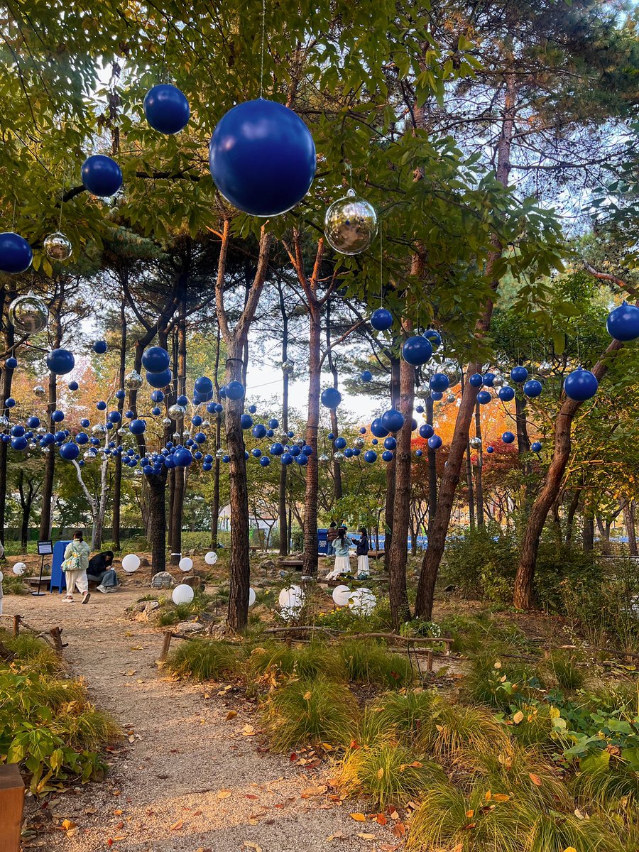kittycathae's tweet photo. that was so not easy to do but i found kwangya forest!! 💙 they also have postcards and pens there so you can leave a congratulatory message for super junior :) https://t.co/w3bV4A6Zv7