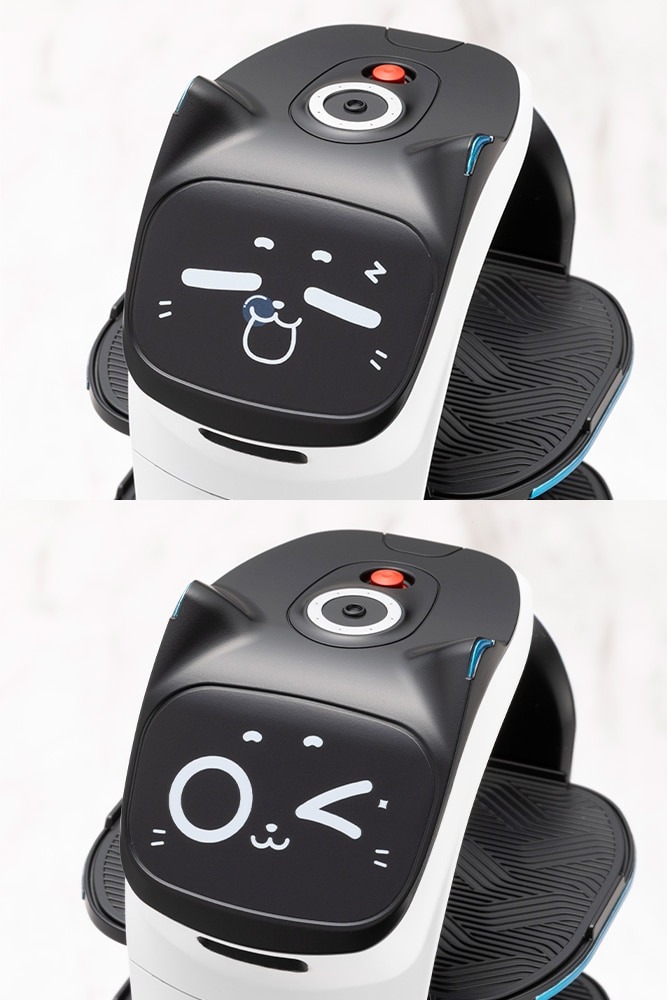 INSIDEjp's tweet image. ファミレスでお馴染み！ネコ型配膳ロボット「ベラボット」が大きめなサイズのプラモデルに
inside-games.jp/article/2025/1…

#PuduRobotics