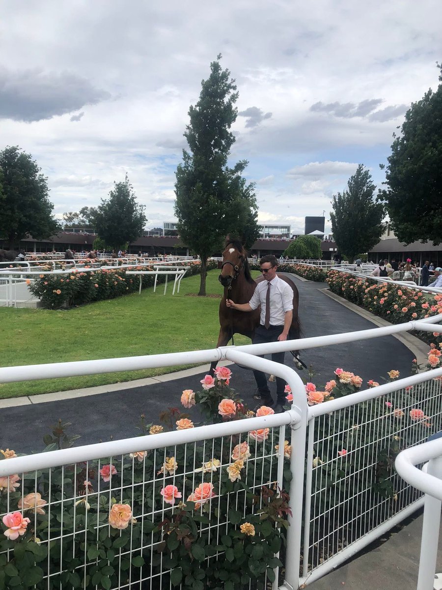 AJ Chambers Racing tweet media