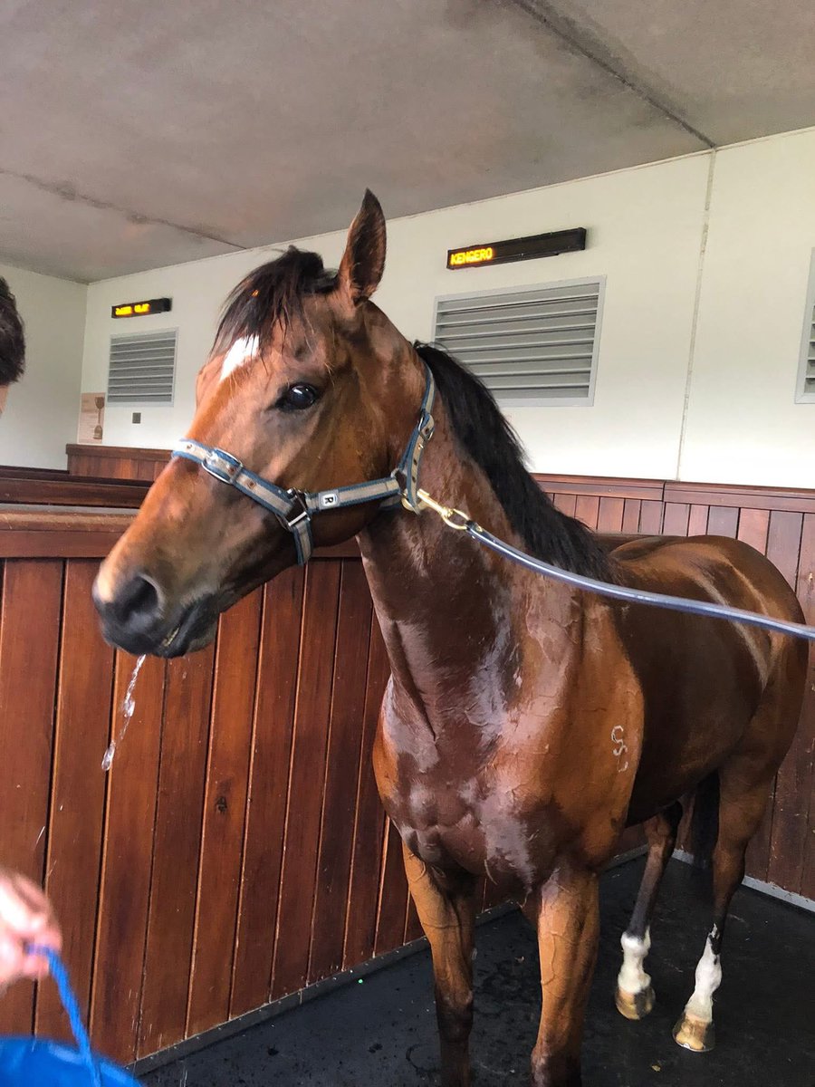 AJ Chambers Racing tweet media