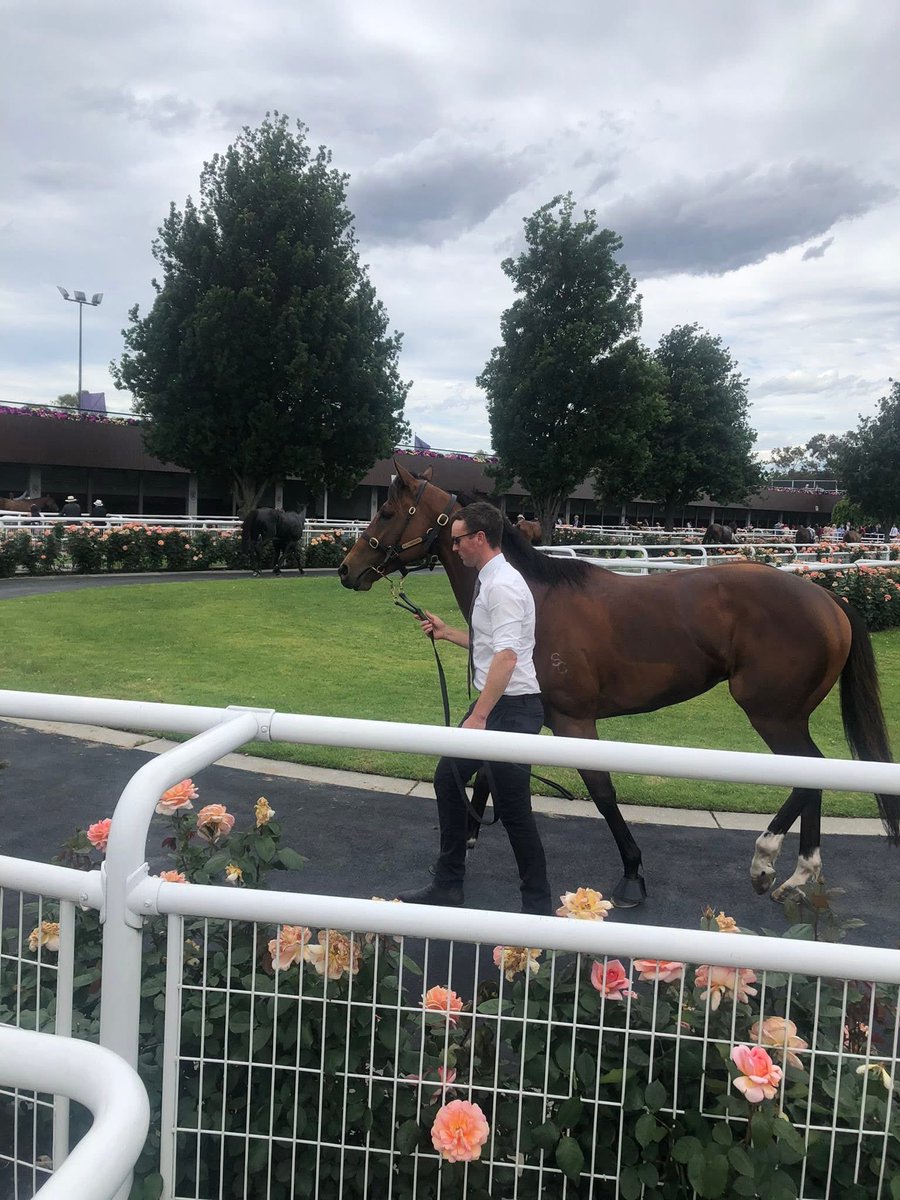 AJ Chambers Racing tweet media