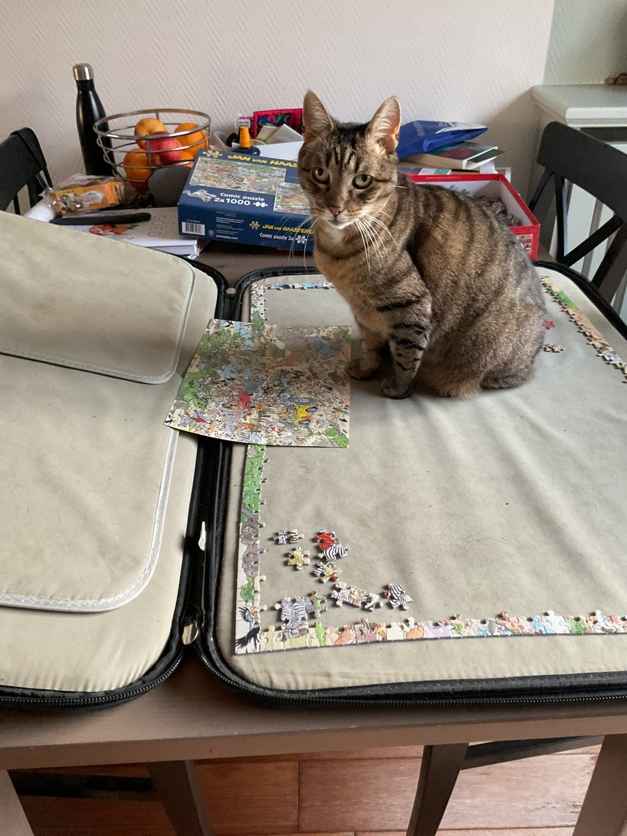 Ik zit weer lekker in de weg. Vrouwtje moet voor controle naar ziekenhuis en is zenuwachtig daarom gaat ze puzzelen en ik help haar 😂