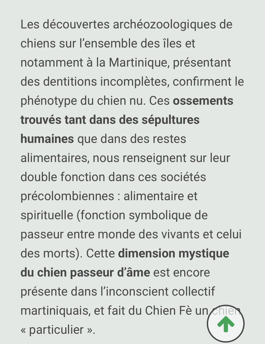 Kali, ma chienne fè (chien nu de Martinique) une race incroyable.