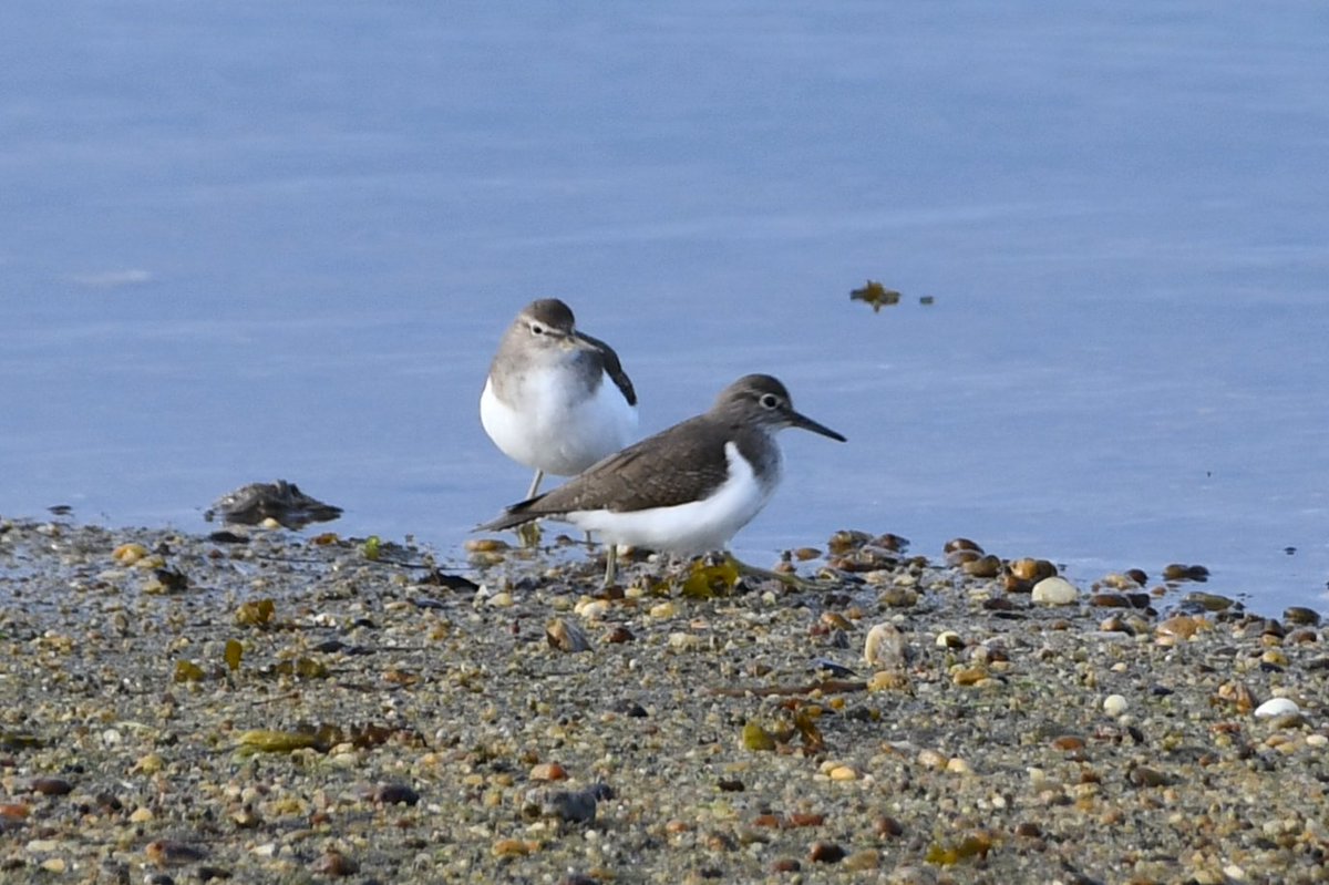 J@a.p (@jose_ap19) on Twitter photo 