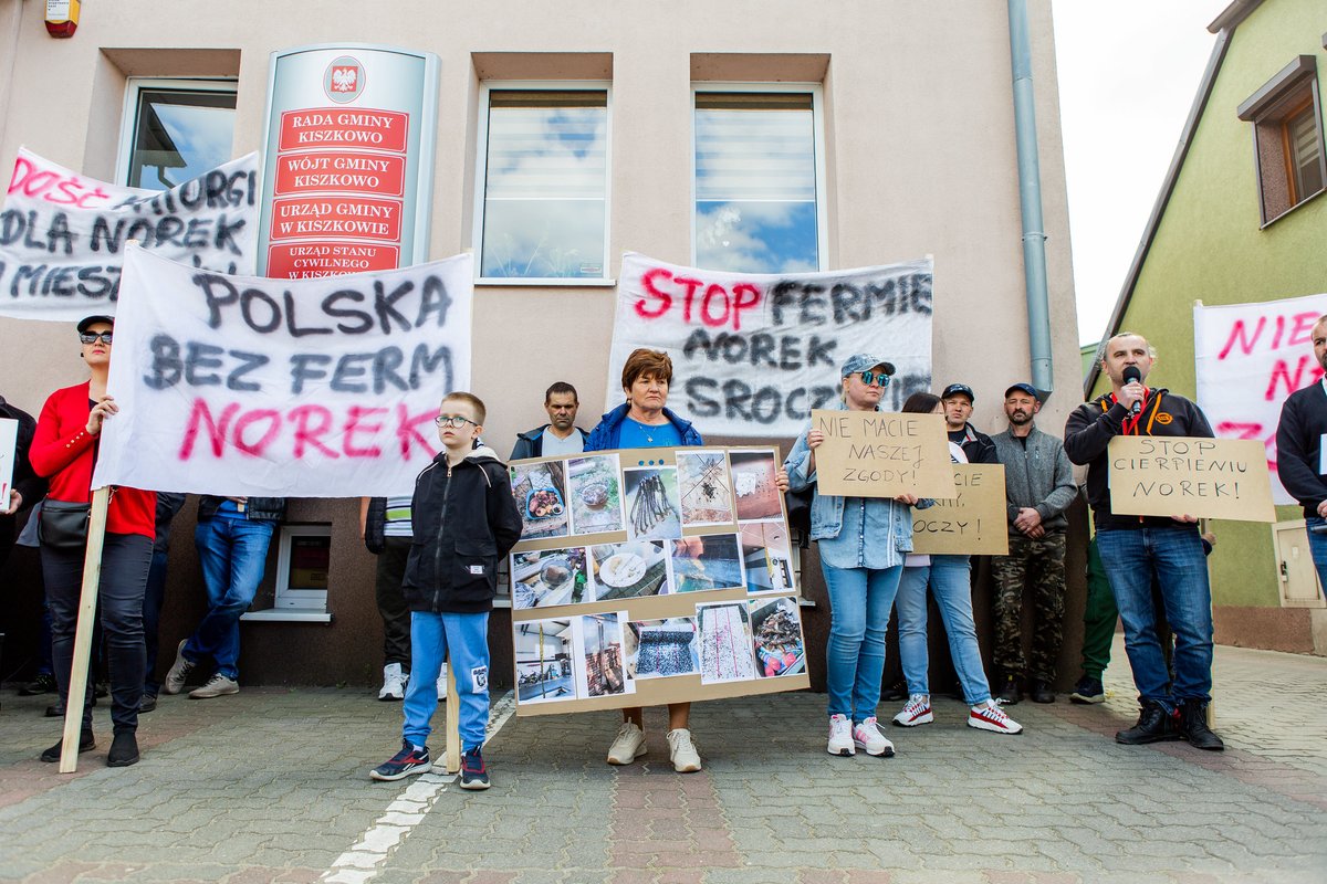 Kiedy 13 lat temu opublikowaliśmy pierwsze śledztwo z ferm futrzarskich, zaskoczyła nas jedna rzecz. Po głośnej publikacji zaczęli odzywać się do nas mieszkańcy wsi, prosząc o wsparcie. Czuli się bezradni, kiedy mimo ich protestów, kolejne fermy norek powstawały w ich